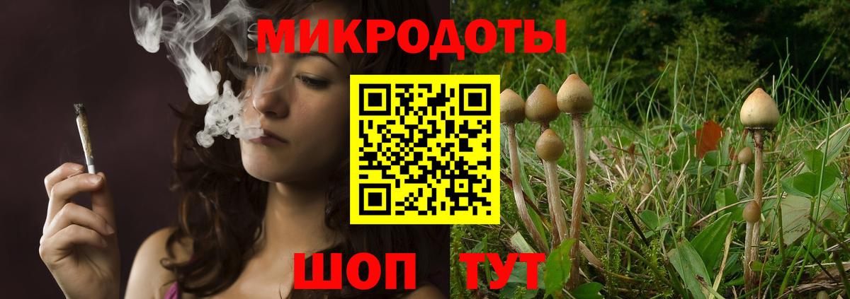 где можно купить   Вход с VPN  Нижний Новгород  Галлюциногенные грибы Magic Shrooms 