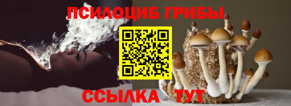 Галлюциногенные грибы мицелий Нижний Новгород